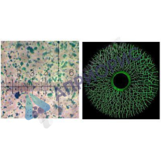 helling super magna cgy 4000 магнитный порошок